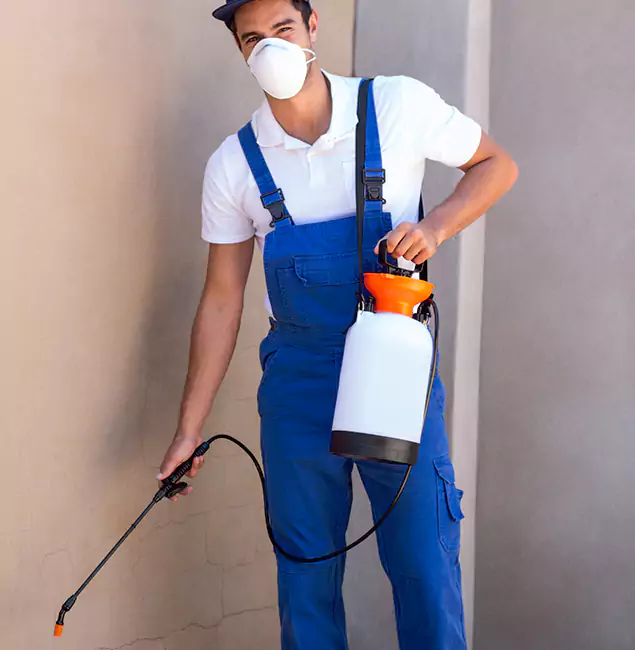 What Makes Union Pest Control Pro the Right Choice in Union, NJ?
