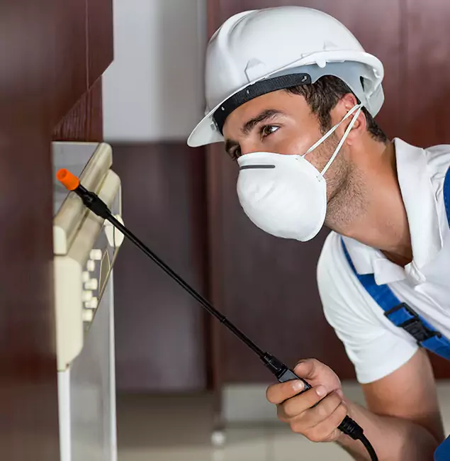 Why Union Homeowners Rely on Union Pest Control Pro for Tick Treatment?