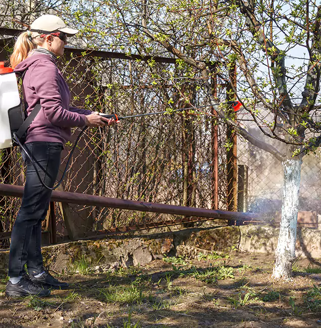 Why Union Homeowners Choose Union Pest Control Pro for Mosquito Abatement?