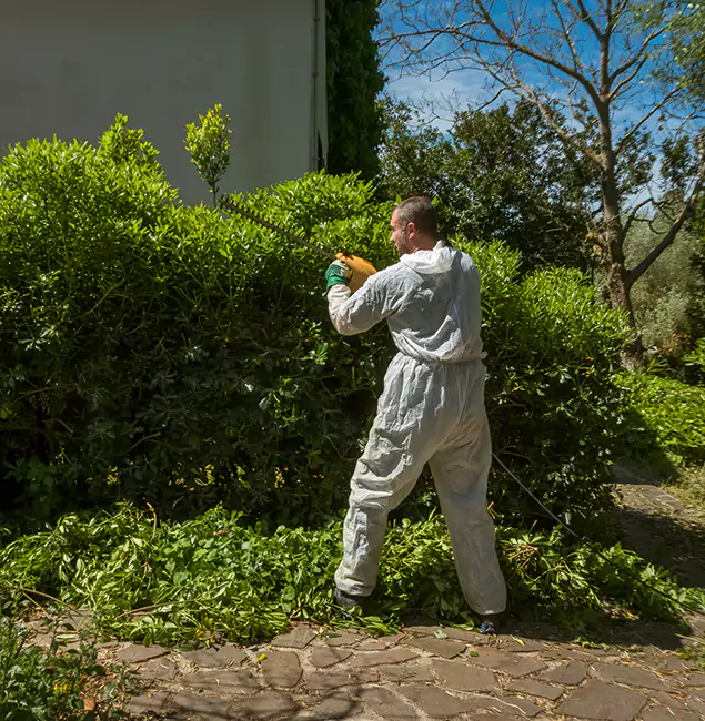 Why Union Pest Control Pro Leads Mosquito Control in Union, NJ?