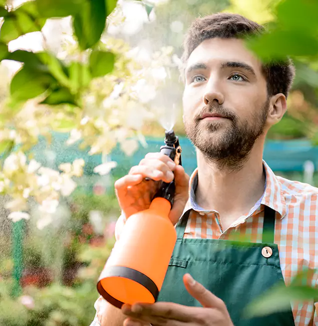 Why Union Pest Control Pro Is the Best Mosquito Control Company in Union, NJ?