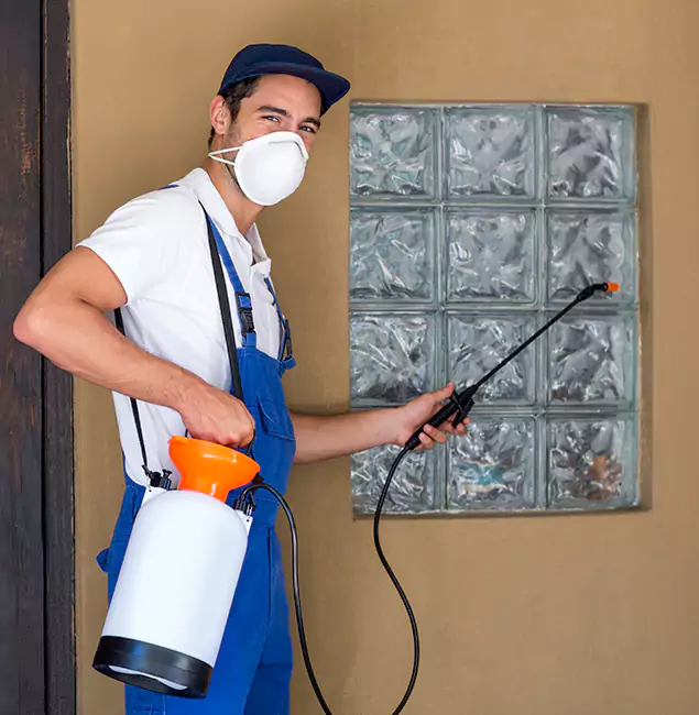 Why Union Pest Control Pro Provides the Best Mosquito Control for Yard Properties in Union, NJ?