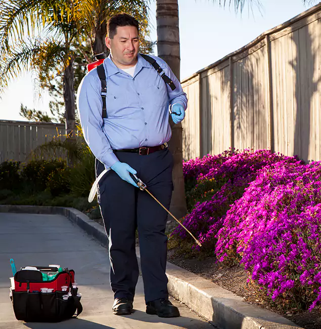 Why Choose Union Pest Control Pro in Union, NJ?