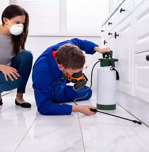 Why Choose Union Pest Control Pro in Union, NJ?
