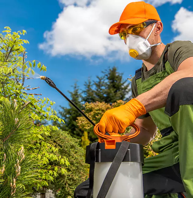 Why Choose Union Pest Control Pro for Outdoor Pest Control in Union, NJ?