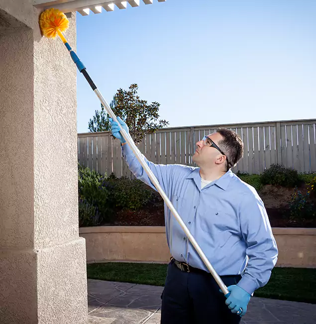 Why Choose Union Pest Control Pro for Pest Control Services in Union, NJ?