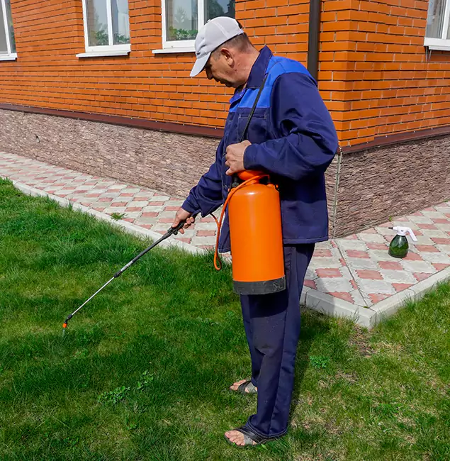 Why Choose Union Pest Control Pro for Residential Pest Control in Union, NJ?