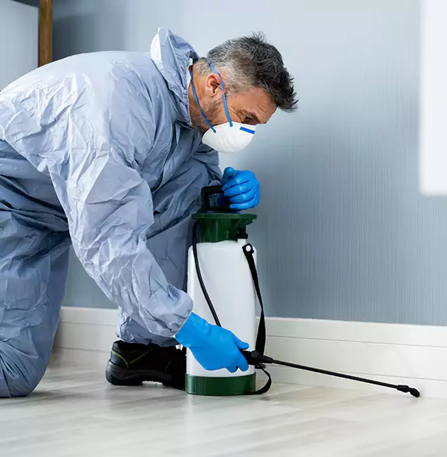 Why Choose Union Pest Control Pro for Subterranean Termites Treatment in Union, NJ?