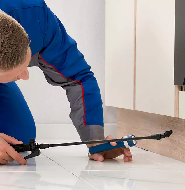 Why Union Residents Choose Union Pest Control Pro to Get Rid of Sugar Ants?