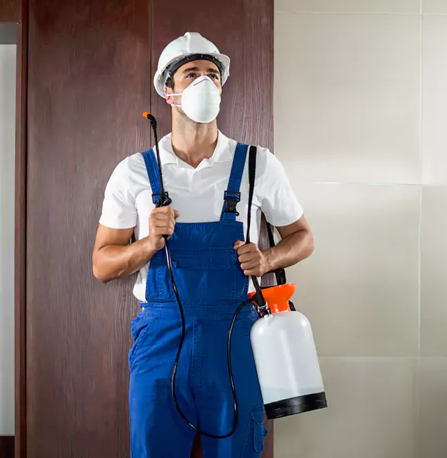 Why Choose Union Pest Control Pro for Termite Tenting in Union, NJ?