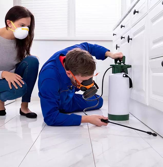 Why Choose Wood Termite Treatment by Union Pest Control Pro in Union, NJ?