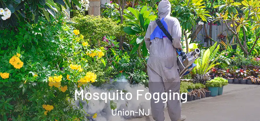 Mosquito Fogging Union-NJ