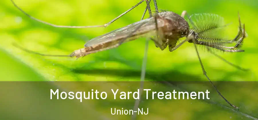 Mosquito Yard Treatment Union-NJ