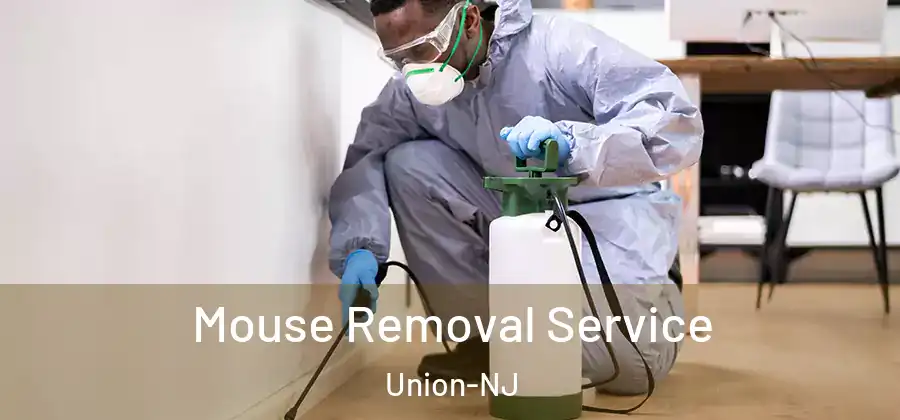  Mouse Removal Service Union-NJ