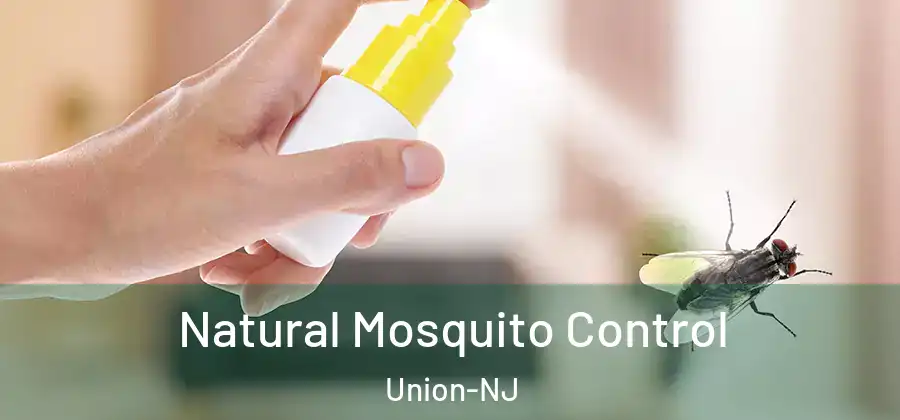 Natural Mosquito Control Union-NJ