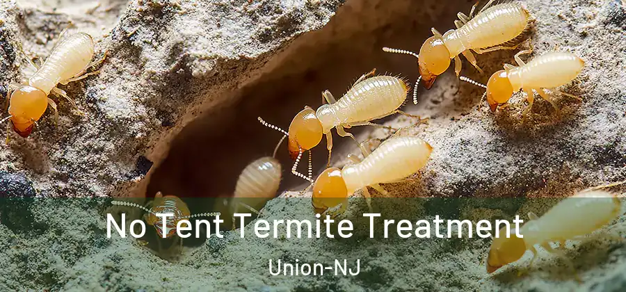  No Tent Termite Treatment Union-NJ