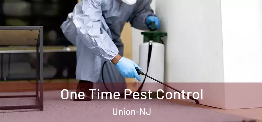 One Time Pest Control Union-NJ