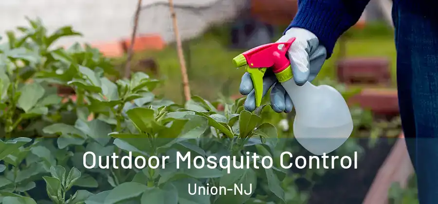 Outdoor Mosquito Control Union-NJ