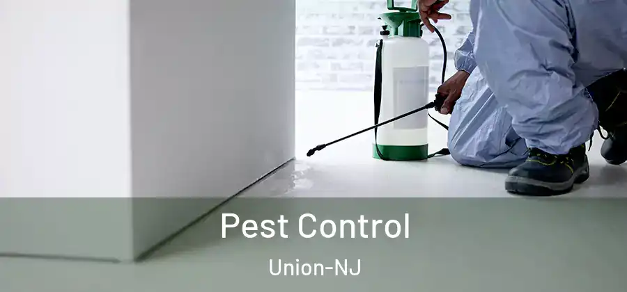 Pest Control Union-NJ