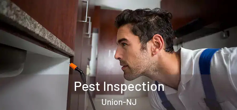 Pest Inspection Union-NJ