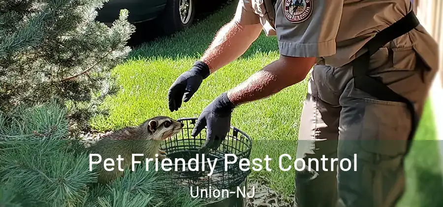  Pet Friendly Pest Control Union-NJ