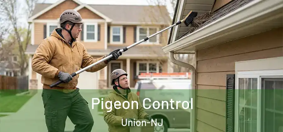 Pigeon Control Union-NJ
