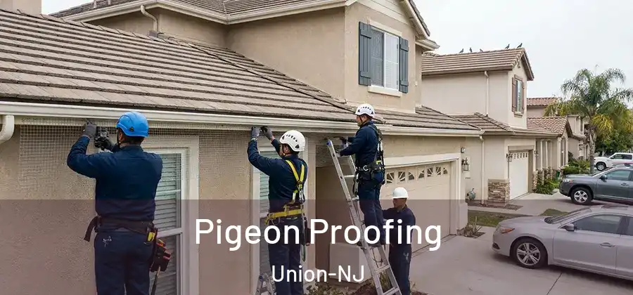 Pigeon Proofing Union-NJ