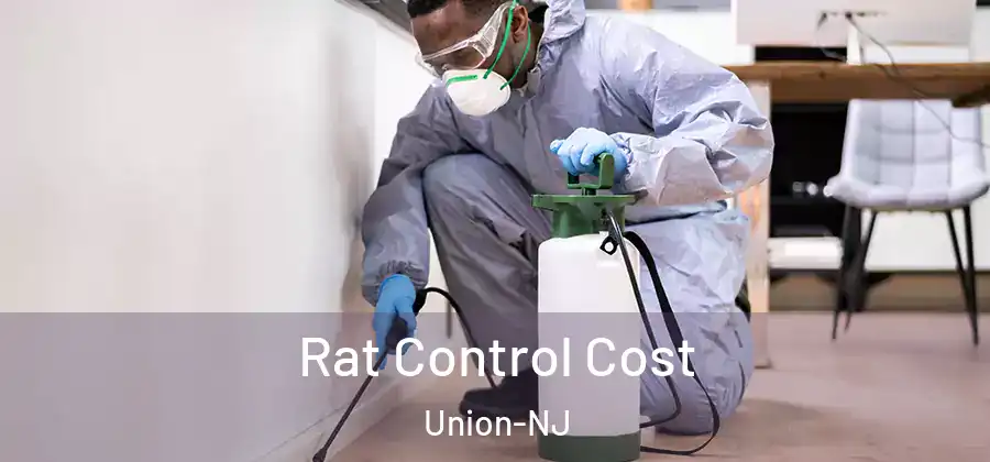 Rat Control Cost Union-NJ