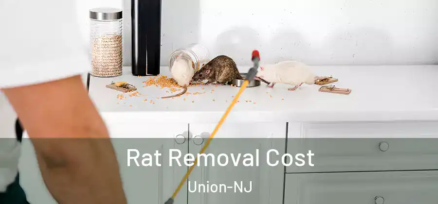 Rat Removal Cost Union-NJ