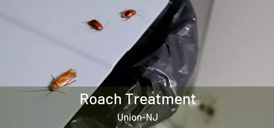 Roach Treatment Union-NJ