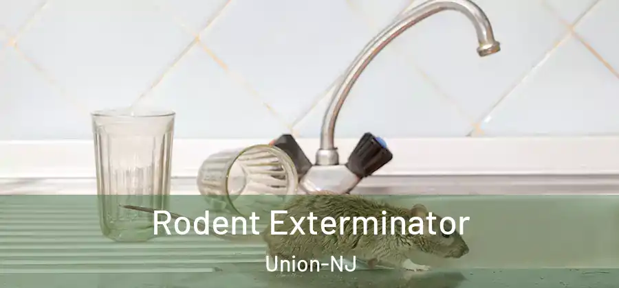 Rodent Exterminator Union-NJ