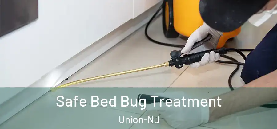 Safe Bed Bug Treatment Union-NJ