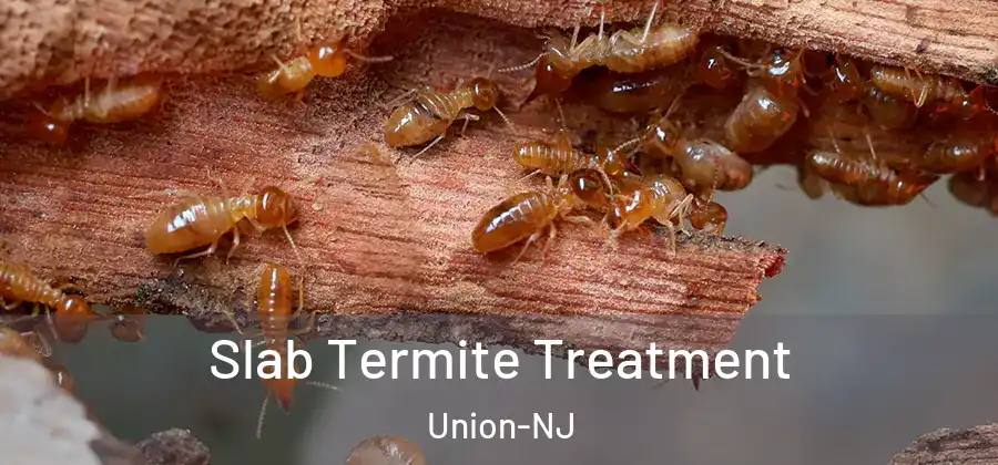 Slab Termite Treatment Union-NJ