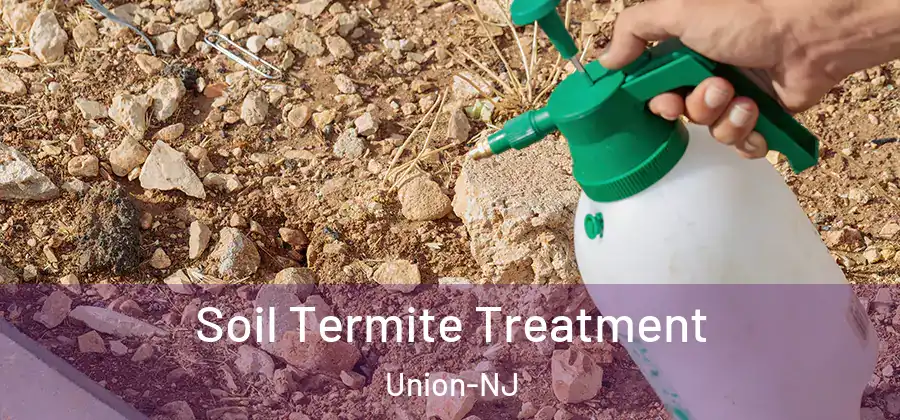 Soil Termite Treatment Union-NJ
