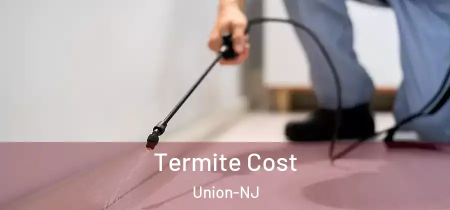 Termite Cost Union-NJ