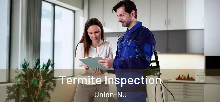Termite Inspection Union-NJ
