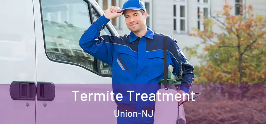 Termite Treatment Union-NJ