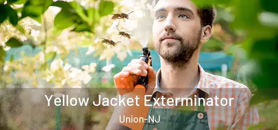 Yellow Jacket Exterminator Union-NJ